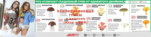 МДПВ Рославль