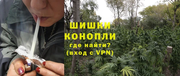 МДПВ Рославль